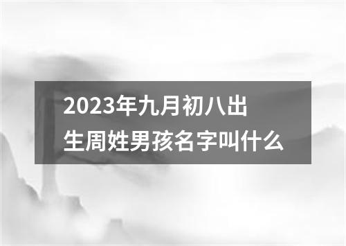2023年九月初八出生周姓男孩名字叫什么
